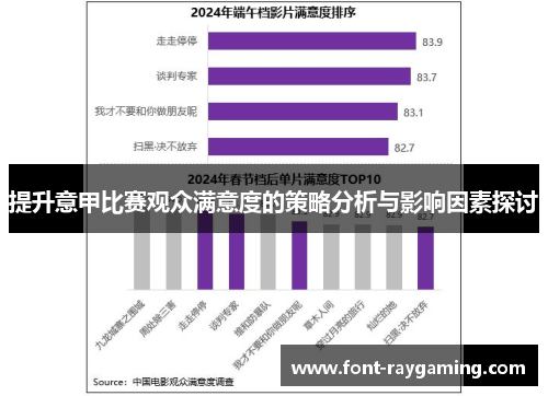 提升意甲比赛观众满意度的策略分析与影响因素探讨