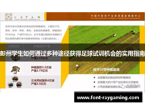 彭州学生如何通过多种途径获得足球试训机会的实用指南